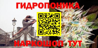соль курить ск Заводоуковск