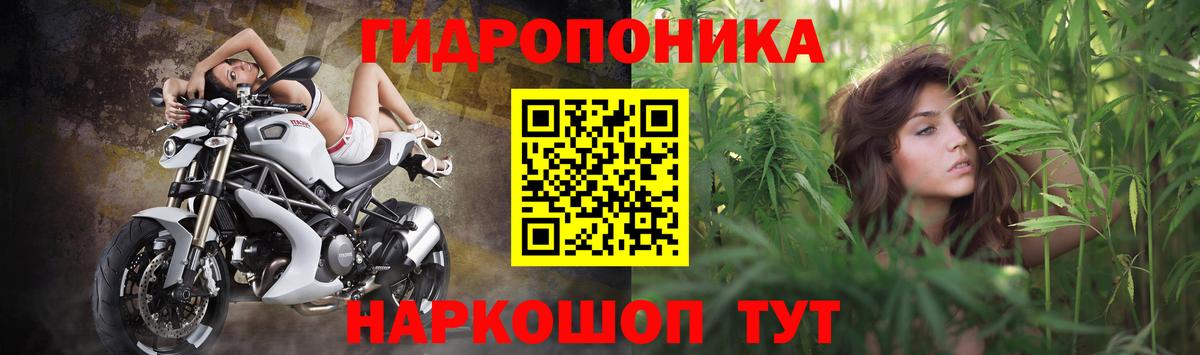 МАРИХУАНА индика  Марихуана семена  Вход с VPN  Муравленко 